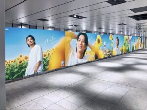 平野紫耀,広告,大阪