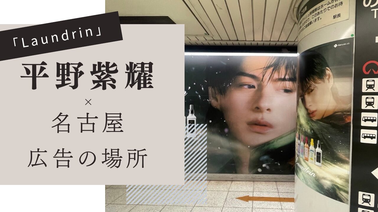 平野紫耀,名古屋,ランドリン広告