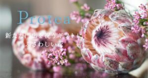 プロテア,花言葉